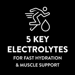 Sports Electrolyte Drink Fruit Punch 1L Bottles 4 Pack Hydration Mix