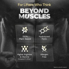 Pea Protein Powder 25g Protein, 4.6g BCAA, 5gFiber | Rich Chocolate, 1 Serving