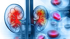 Kidney Flush – KIDNEY SUPPORT – Bladder Health – Kidney Boost – 3 B 180 Ct