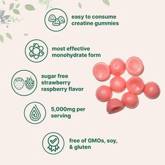 120 Count Strawberry Raspberry Creatine Gummies – Pre Workout & Recovery Boost