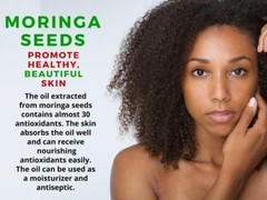 weight management for women – MORINGA OLEIFERA 1200MG – moringa weight loss – 3B