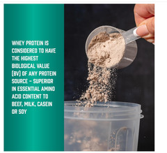 NOW Foods Whey Protein Concentrate Unflavored 5lb 24g Protein BCAAs
