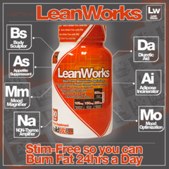 Muscle Elements LEAN WORKS Non- Stim PM Fat Burner Weight Loss – 90 capsules