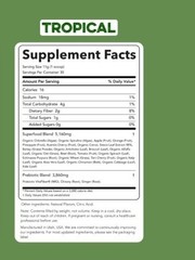 4-BOX LOT (40 PACKETS ) CLEAN SIMPLE EATS Super Greens Powder Tropical Drink