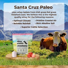 Santa Cruz Paleo Whey Protein Powder, Strawberry, 20 Servings, 1.2lb Bag