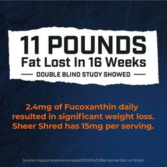 Men’s SHEER SHRED Thermogenic Capsaicin & L-Carnitine Jitter-Free Weight Loss ++