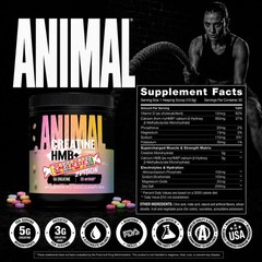 Animal Creatine HMB Powder x Smarties 3g myHMB + 5g Creatine Monohydrate