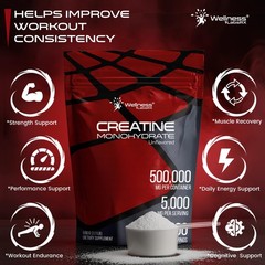 WELLNESS LABSRX Creatine Monohydrate Powder 500g – 100 Servings Micronized Cr…