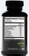 1 TEST BOOST Max + 1 Burn Evolved Sculptnation Testosterone Strength Weight Loss