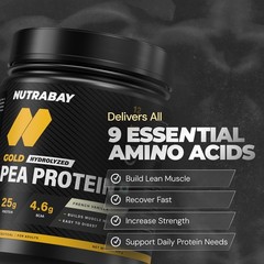 Plant Based Protein Powder 25g Protein ,4.6g BCAA | French Vanilla , 12 Servings