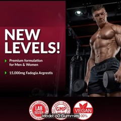 Fadogia Agretis Tongkat Gummies 1 Month Supply for Vigor Test Booster+ Endurance