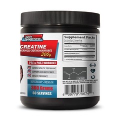 Energize Your Muscles – MICRONIZED MONOHYDRATE CREATINE – Workout Supply 2B 600G