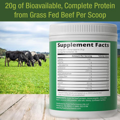 Grass Fed Beef Protein Powder – Lactose Free Great Tasting Beef Protein Isolate.