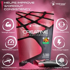 WELLNESS LABSRX Creatine Monohydrate Powder Sachets 300g – Fruit Punch Flavor…