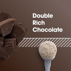 Gold Standard 100% Whey Protein Powder, Double Rich Chocolate, 1 Pound Pack of 1