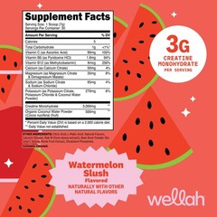 Wellah Creatine + Electrolytes Powder (Watermelon Slush) 30 Servings