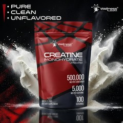 WELLNESS LABSRX Creatine Monohydrate Powder 500g – 100 Servings Micronized Cr…