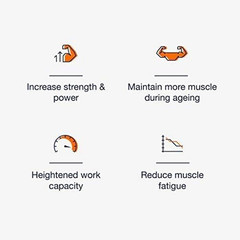 HMB + Creatine Supplement – 3g Daily HMB for Enhanced Strength, Power & Recovery