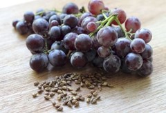 Immune vitamin c – GRAPE SEED EXTRACT – ANTI GRAY HAIR COMBO – coenzyme q10