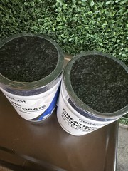 Nutricost Creatine Monohydrate 500g Powder – 1 lb – 100 Servings – Exp 2/2029