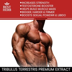 TRIBULUS TERRESTRIS 7500mg EXTRACT 96% SAPONINS BIG MUSCLE BODYBUILDING PILLS