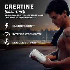 Muscle and Recovery Support Creatine Monohydrate with Carnitine for Brain Health