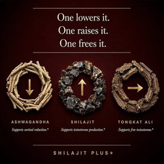 5-in-1 Highest Potency Organic Black Shilajit Male Enhancing Supplement – 60 Cap