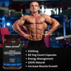 Testosterin Men’s Multivitamins Testosterone Booster 60 Cap