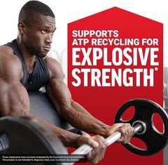 Force Factor Creatine Monohydrate Powder, 5g Micronized Dose to Support Muscle G
