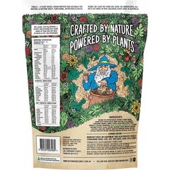 Botanika Blends Plant Protein Golden Chai Latte 500g