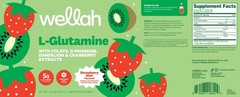 Wellah L-Glutamine Strawberry Kiwi Powder (50 Servings) – 5g L-Glutamine