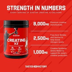 Six Star Creatine Monohydrate Powder, X3 (Fruit Punch) – Flavored Creatine HCl P