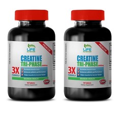 protein metabolism – CREATINE TRI-PHASE 5000mg 2B – reduce fatigue and tiredness