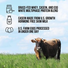 Gluten-Free Protein Powder: Egg, Whey & Casein Blend for Post-Workout Nutrition