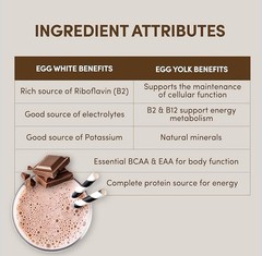 2x Designer Egg Whole Egg Multifunction Protein Powder, Dutch Chocolate, 05/2026