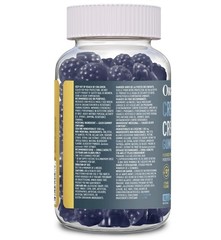 Organika Creatine Monohydrate Gummies 2 Bottles 180 Count Blueberry