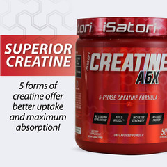 CREATINE A5X Muscle-Strength-Performance-Recovery – Unflavored (50 Servings)