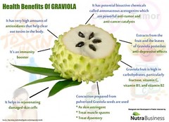 Antioxidant infusion – GRAVIOLA – RESVERATROL COMBO – resveratrol extract