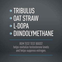 Core Active REM Test P.M. Testosterone Boost – Sleep Inducer and Relaxation