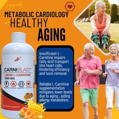 Bricker Labs CARNIBLAST Liquid L-Carnitine 3000mg 16 Fl Oz (Pack of 1)