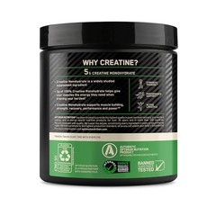 Creatine Monohydrate Powder Micronized 5g 60 Servings Unflavored