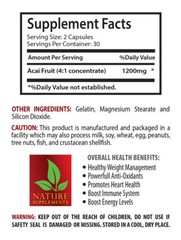 Antioxidant berry powder – RESVERATROL – ACAI BERRY COMBO – acai energy to go