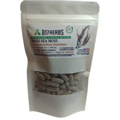Irish Moss Seaweed Powder Caps (CHONDRACANTHUS CHAMISSOI) – RED ALGAE 100 Caps