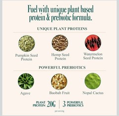 Coolside Superfood Vegan Protein Powder Chocolate 20g Plant Based 15 Servings