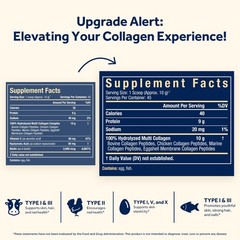 Doctor’s Recipes Multi Collagen Peptides Powder for Women 1 Pound (Pack of 1)