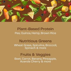 Amazing Grass Organic Plant Protein – NO SUGAR -10 Serv- Chocolate Peanut Butter