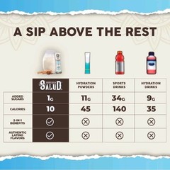 Salud Hydration & Immunity Drink Mix Comes With 15 Servings Flavor Horchata