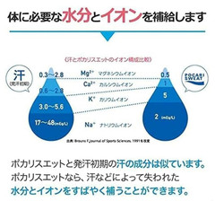 Otsuka Pharmaceutical Pocari Sweat Power for 10L 74gx10packs, each pack for 1L