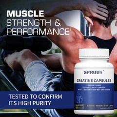 Creatine Monohydrate 60 Capsules – 1200 mg Per Serving