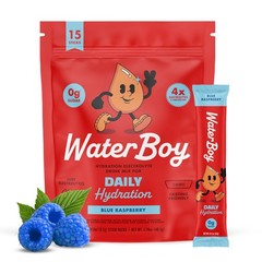 Waterboy – Daily Hydration, Blue Raspberry, Sugar Free 1.75 Ounce (Pack of 1)